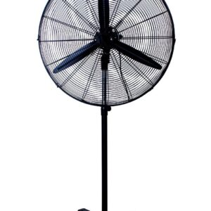 Fans